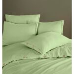 Bella Stone Wash Yeşil Nevresim Takımı